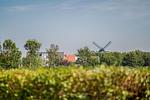 "Seeblick" - Top-Hundeurlaub