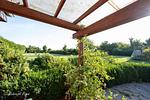 Terrasse - Ferienhaus Luppath - Top-Hundeurlaub