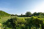 Garten - Ferienhaus Luppath - Top-Hundeurlaub