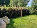 Terrasse - Appartement 3  - Sonnenstern - Top-Hundeurlaub