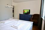 TV / Multimedia - Ferienwohnung 1 - Top-Hundeurlaub