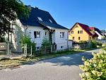 Hauptansicht - Lachmöwe - Top-Hundeurlaub