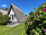 Hauptansicht - Finnhütte 42 - Top-Hundeurlaub