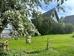 Hauptansicht - Finnhütte 42 - Top-Hundeurlaub