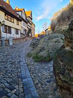 Ferienhaus Schatzliebe - Top-Hundeurlaub
