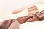 Dekoratives Detail - Sterntaler - Top-Hundeurlaub