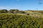 Landschaft - 158 - Ferienwohnung 8 - Top-Hundeurlaub