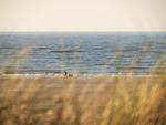Nordsee Liebe Haus A - Top-Hundeurlaub