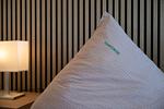 Appartementhaus Westerloog 16 - Top-Hundeurlaub