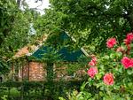Appartementhaus Westerloog 06-Balkon - Top-Hundeurlaub