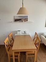 Appartementhaus Westerloog 14 - Top-Hundeurlaub