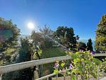Blick auf Garten und See - Ferienwohnung Idylle am See - Top-Hundeurlaub