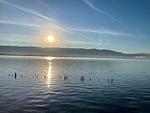 Bodensee - Ferienwohnung Idylle am See - Top-Hundeurlaub