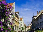 Lindauer Insel - Ferienwohnung Luxus & Lifestyle - Top-Hundeurlaub