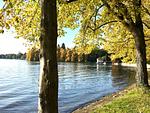 Sparzierweg am Bodensee - Ferienwohnung Am Stadtpark - Top-Hundeurlaub