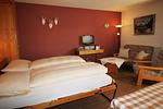 Wohnzimmer - Residenza Lagrev - 1 Zimmerwohnung Nr. 103 - Typ 12B - 1. Etage - Süd - Top-Hundeurlaub