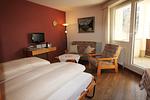 Wohnzimmer - Residenza Lagrev - 1 Zimmerwohnung Nr. 103 - Typ 12B - 1. Etage - Süd - Top-Hundeurlaub
