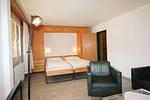 Wohnzimmer - Residenza Lagrev - 2 Zimmerwohnung Nr. 117 - Typ 20A - 1.Etage - Süd - Top-Hundeurlaub