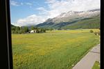 Berge - Residenza Lagrev - 1 Zimmerwohnung Nr. 228 - Typ 11A - 2. Etage - Ost - Top-Hundeurlaub