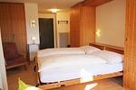 Wohnzimmer - Residenza Lagrev - 1 Zimmerwohnung Nr. 227 - Typ 11B - 2.Etage - Ost - Top-Hundeurlaub