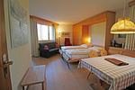 Wohnzimmer - Residenza Lagrev - 1 ½ Zimmerwohnung Nr. 021 - Typ 15A - Hochparterre - West - Top-Hundeurlaub