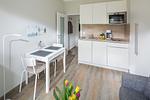 Küche / Küchenzeile - Haus Bielefeld Appartement 21 - Top-Hundeurlaub