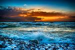 Strand - Ferienhaus Nordwind Damp - Top-Hundeurlaub