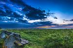 Landschaft - Ferienhaus Nordwind Damp - Top-Hundeurlaub