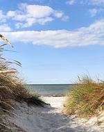 Strand - Ferienhaus Meerzeit Marina Wendtorf - Top-Hundeurlaub