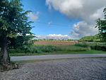 Landschaft - Ferienwohnung Ostseehuus Apartment I Steinbergkirche - Top-Hundeurlaub