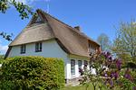 Hauptansicht - Ferienhaus Hyggeby Steinbergkirche - Top-Hundeurlaub