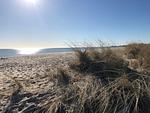 Strand - Ferienhaus Meerhaus Olpenitz - Top-Hundeurlaub