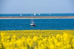 Landschaft - Ferienwohnung Treibhaus Büsum - Top-Hundeurlaub