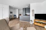TV / Multimedia - Ferienwohnung Nordic Home Schleswig - Top-Hundeurlaub