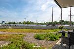 Terrasse - Ferienwohnung Schleitraum Kappeln - Top-Hundeurlaub