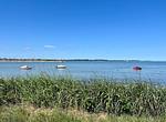 Landschaft - Ferienwohnung Strandzeit Gelting - Top-Hundeurlaub