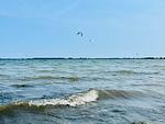 Landschaft - Ferienwohnung Strandzeit Gelting - Top-Hundeurlaub
