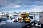 Meerblick - Ferienhaus Surfer´s Bay Olpenitz - Top-Hundeurlaub