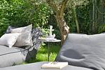 Leseplatz? - Ferienhaus Olivenoog - Top-Hundeurlaub