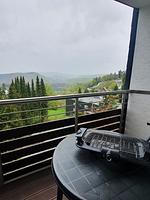 Winterberg Appartement 21123 - Top-Hundeurlaub