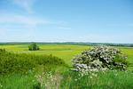 Landschaft - FeWo03: Balkon,Meerblick, ruhige Lage - Top-Hundeurlaub