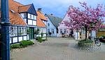 Ferienhaus Sonnenschein - Top-Hundeurlaub