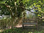Garten - Ferienhaus Great Granny`s Cottage - Top-Hundeurlaub
