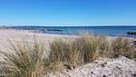 Ferienhaus Strandoase - Top-Hundeurlaub