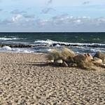 Ferienhaus Strandpark 7 - Top-Hundeurlaub