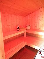 Ferienhaus Johns Holthuus - Top-Hundeurlaub