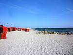 Ferienhaus Johns Holthuus - Top-Hundeurlaub