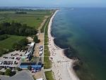 Ferienhaus Johns Holthuus - Top-Hundeurlaub