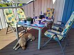 Ferienhaus Johns Holthuus - Top-Hundeurlaub