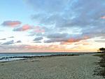 Strand - Ferienwohnung Penthuus - Top-Hundeurlaub